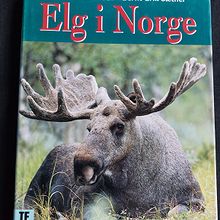 Elg i Norge - biologi, atferd og forvaltning,