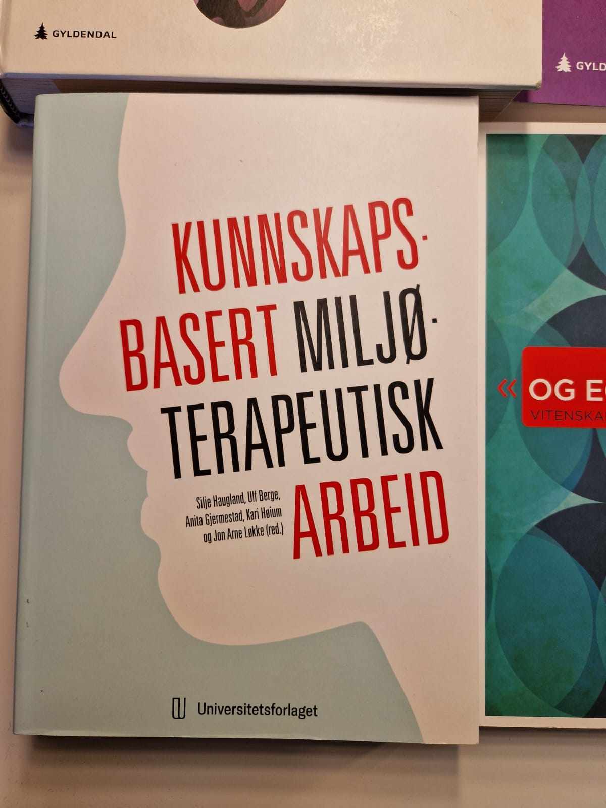Kunnskapsbasert miljøterapautisk arbeid