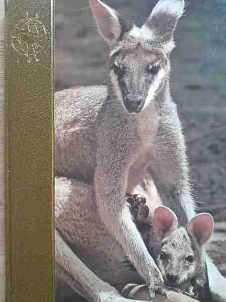 Allverdens Fauna. De ville dyr og samspillet I naturen. Bind 17. Australsk region. Australia.
