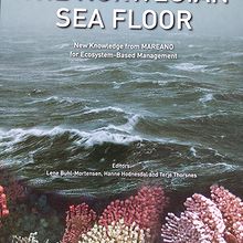 The Norwegian sea floor