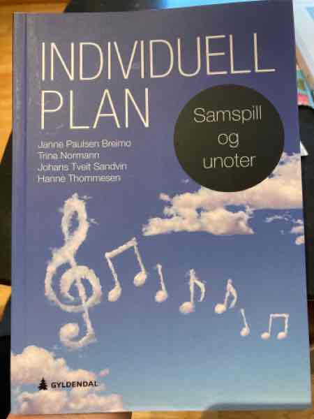 Individuell plan