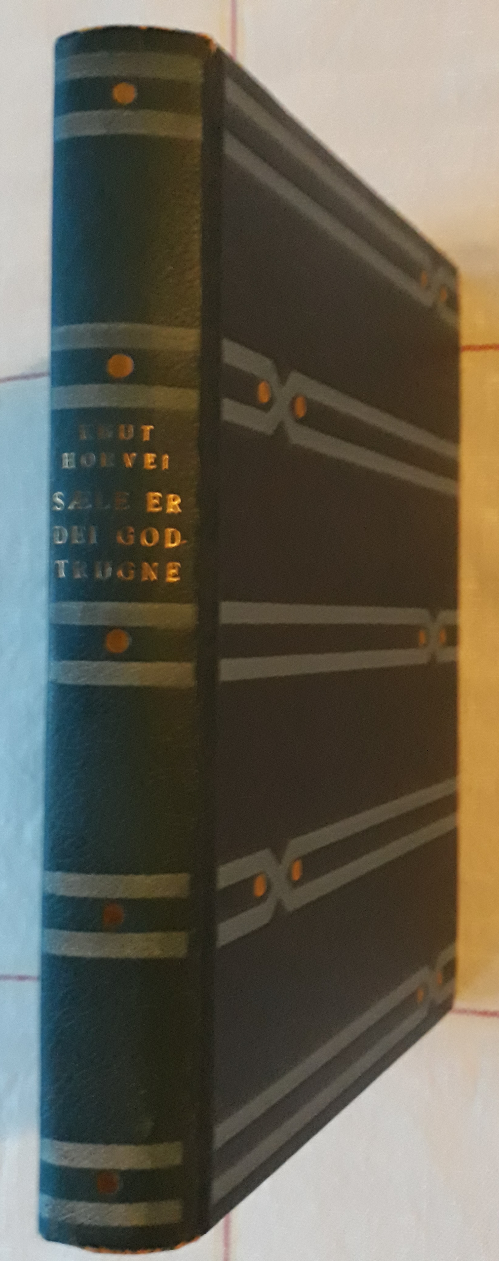 Sæle er dei godtrugne. Roman