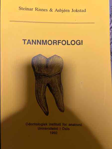 Tannmorfologi