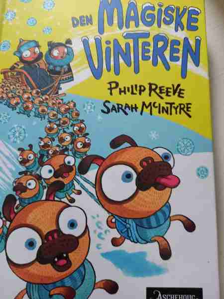 Den magiske vinteren