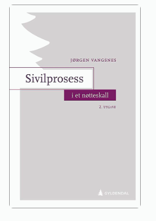 Sivilprosess i et nøtteskall