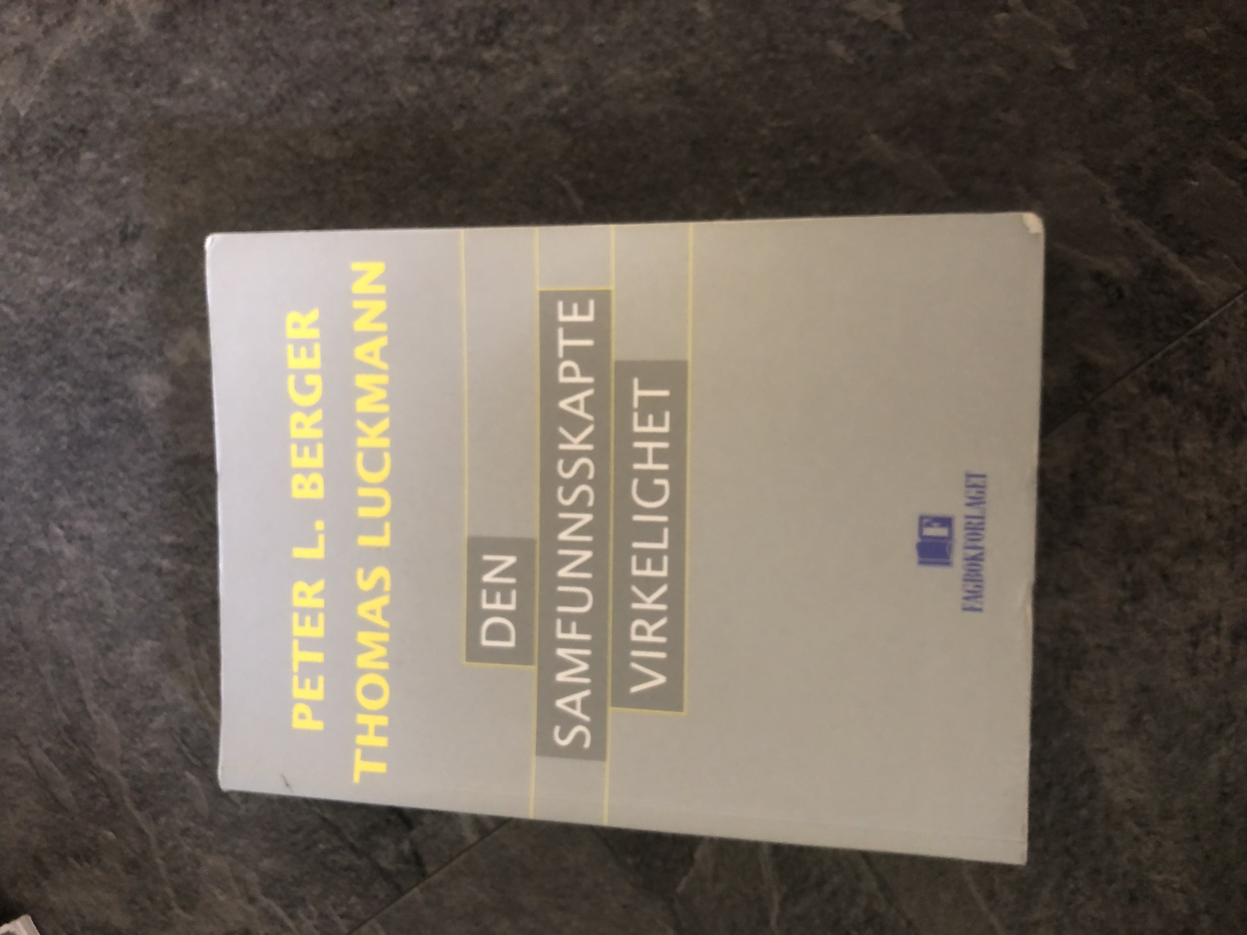 Den samfunnsskapte virkelighet