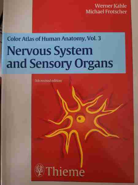 Nervous system and sensory organs