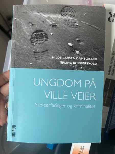 Ungdom på ville veien