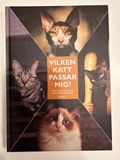 Vilken Katt Passar Mig?