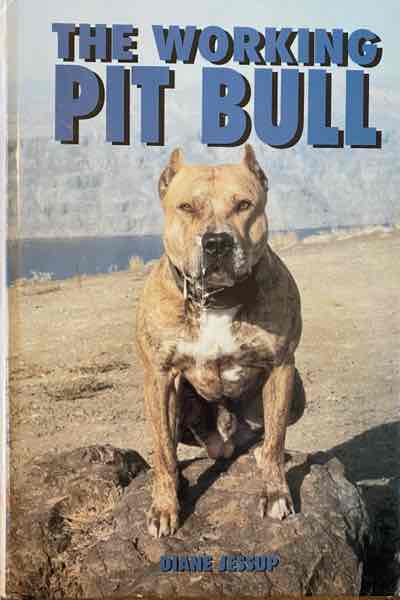 The Working Pit Bull