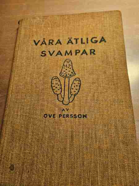 Våra etliga svampar