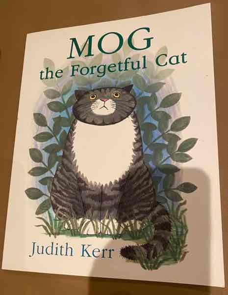 MOG The forgetful cat