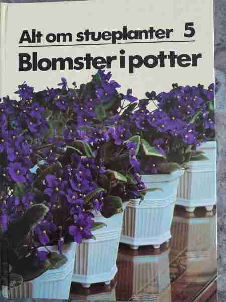 Alt om stueplanter 5. Blomster I potter