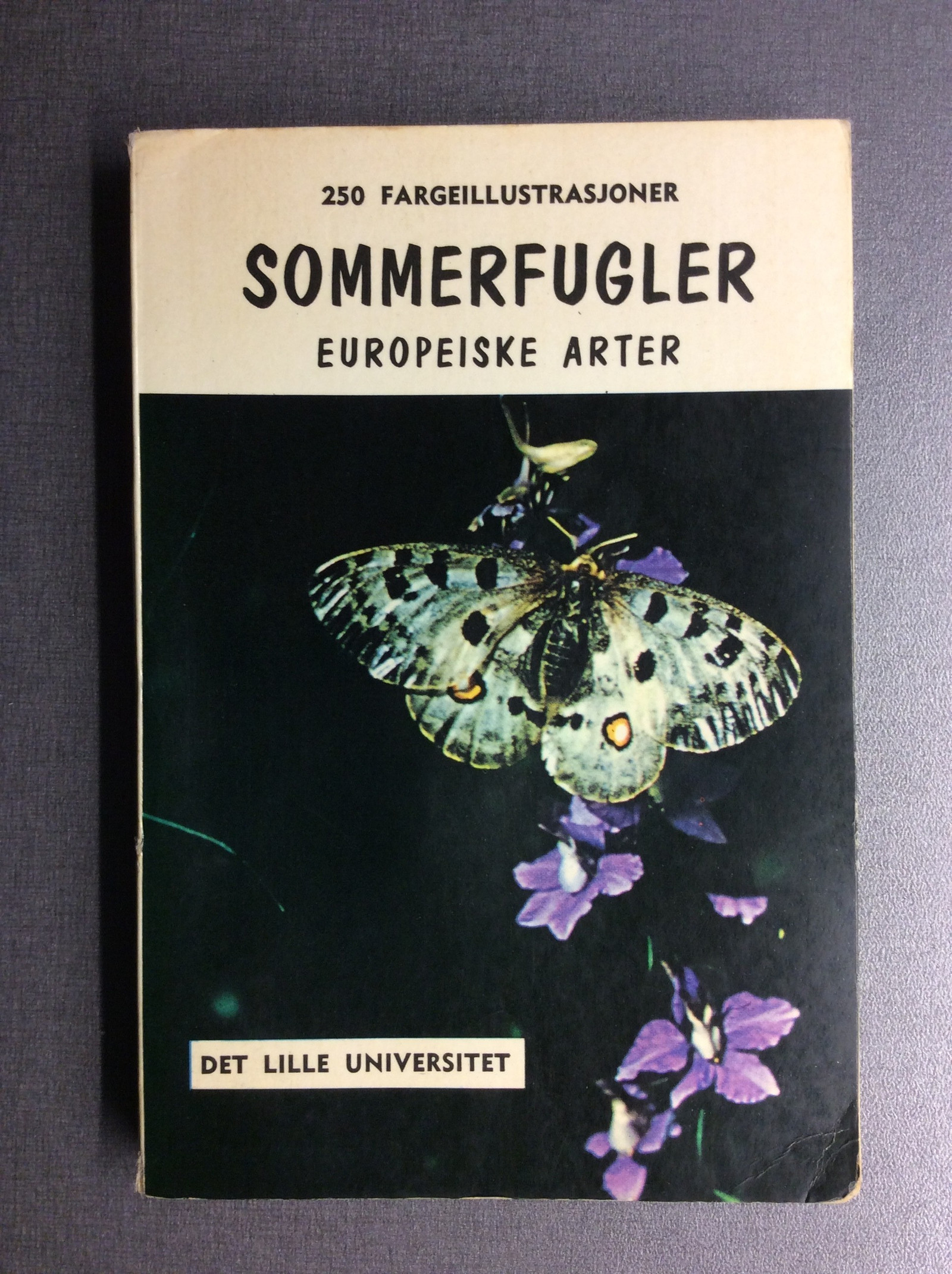 Sommerfugler - europeiske arter