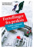 Fortellinger fra praksis