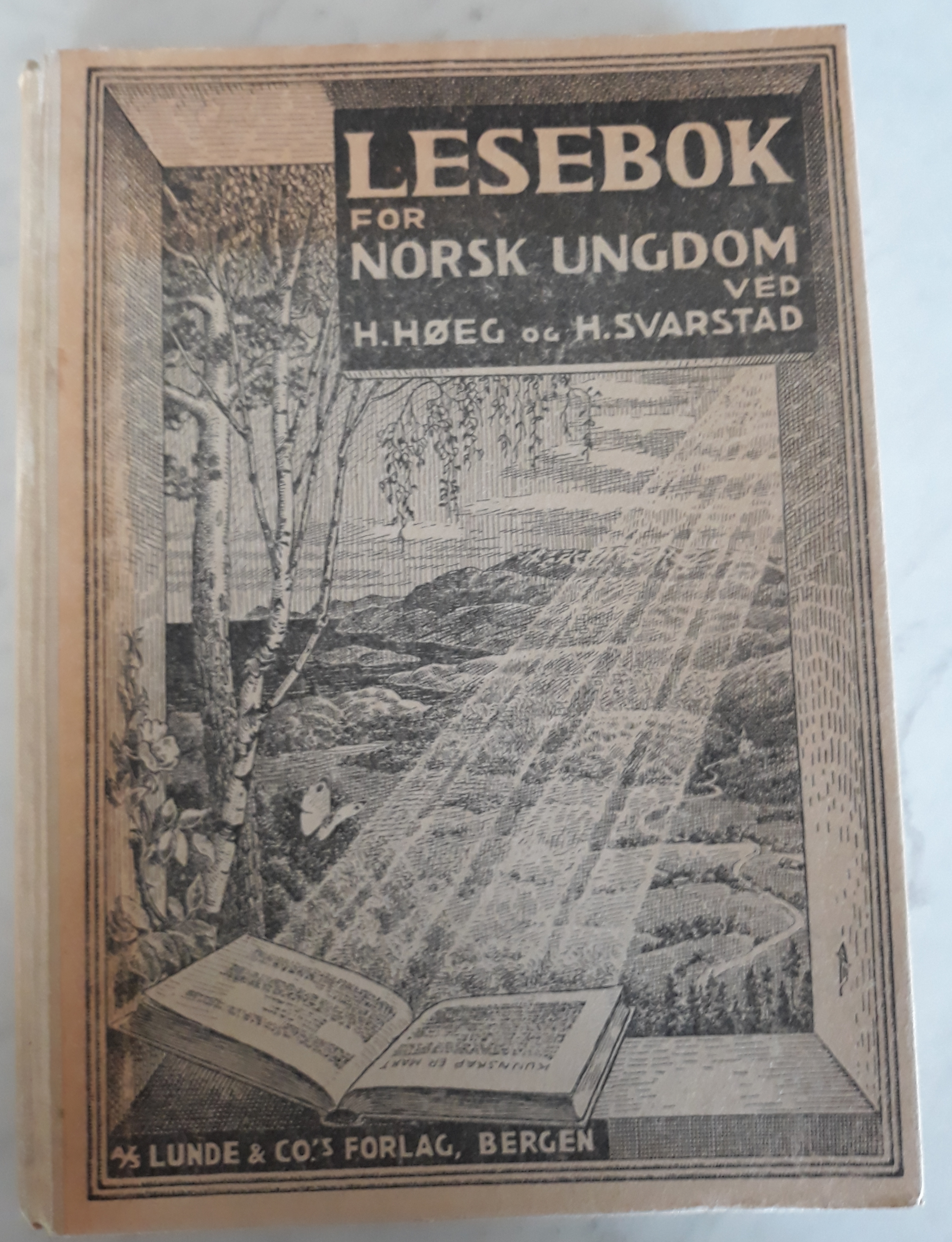 Lesebok for norsk ungdom