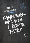 Samfunnsøkonomi i korte trekk