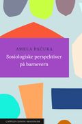 Sosiologiske perspektiver på barnevern