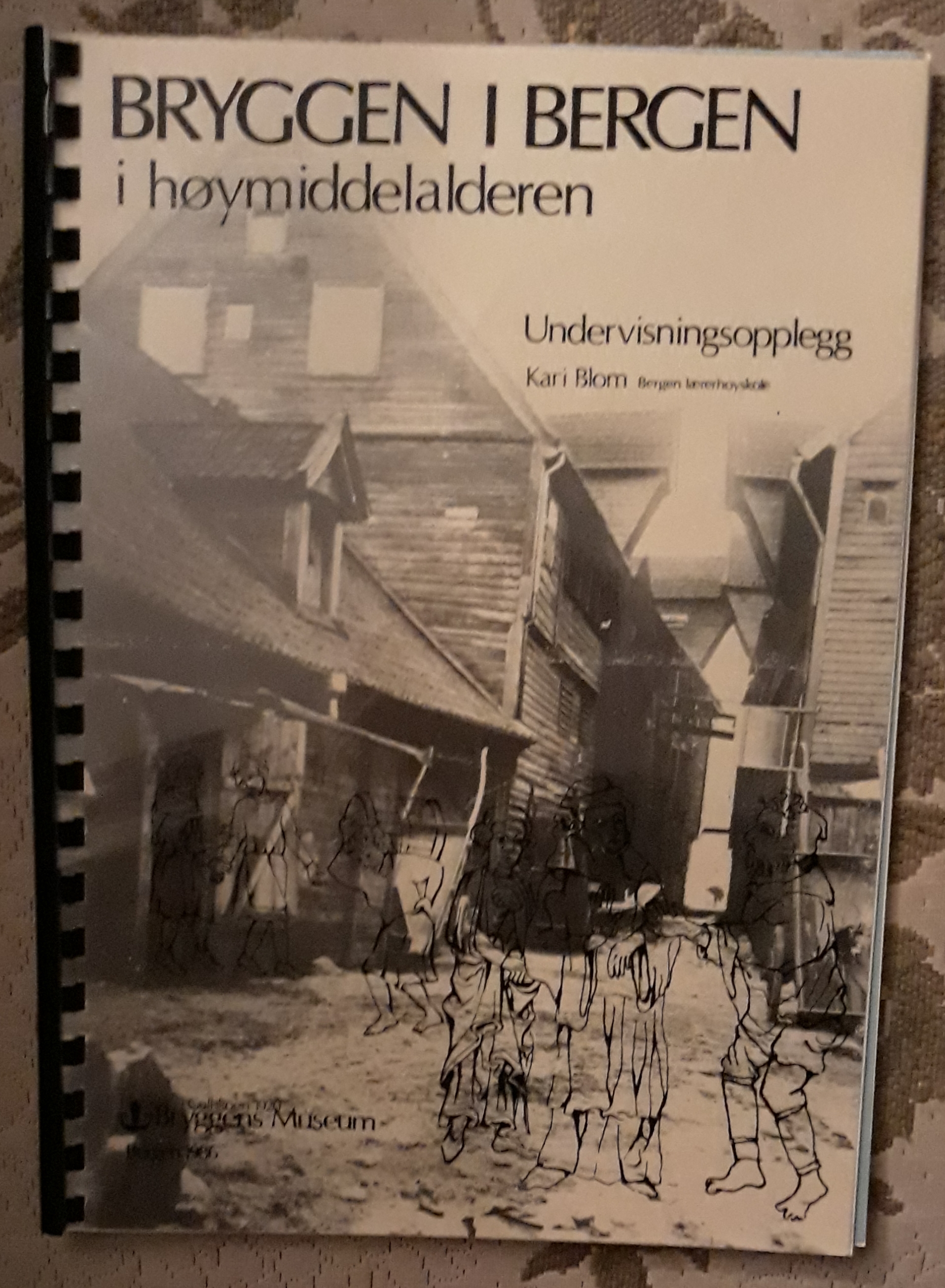 Bryggen i Bergen i høymiddelalderen. Undervisningsopplegg