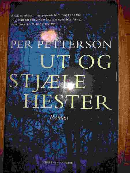 Ut og stjaele hester