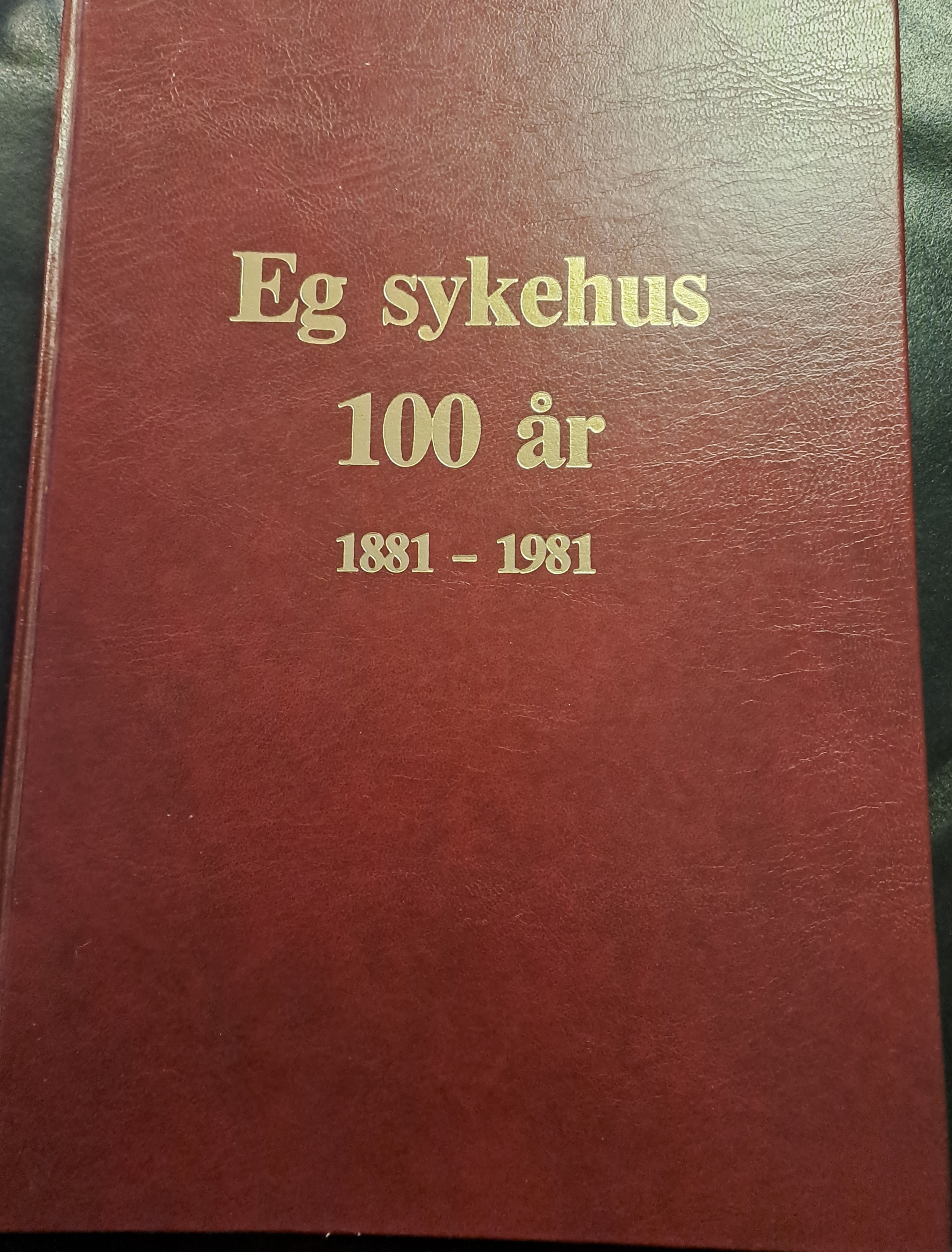 Eg sykehus 100 år 1881-1981