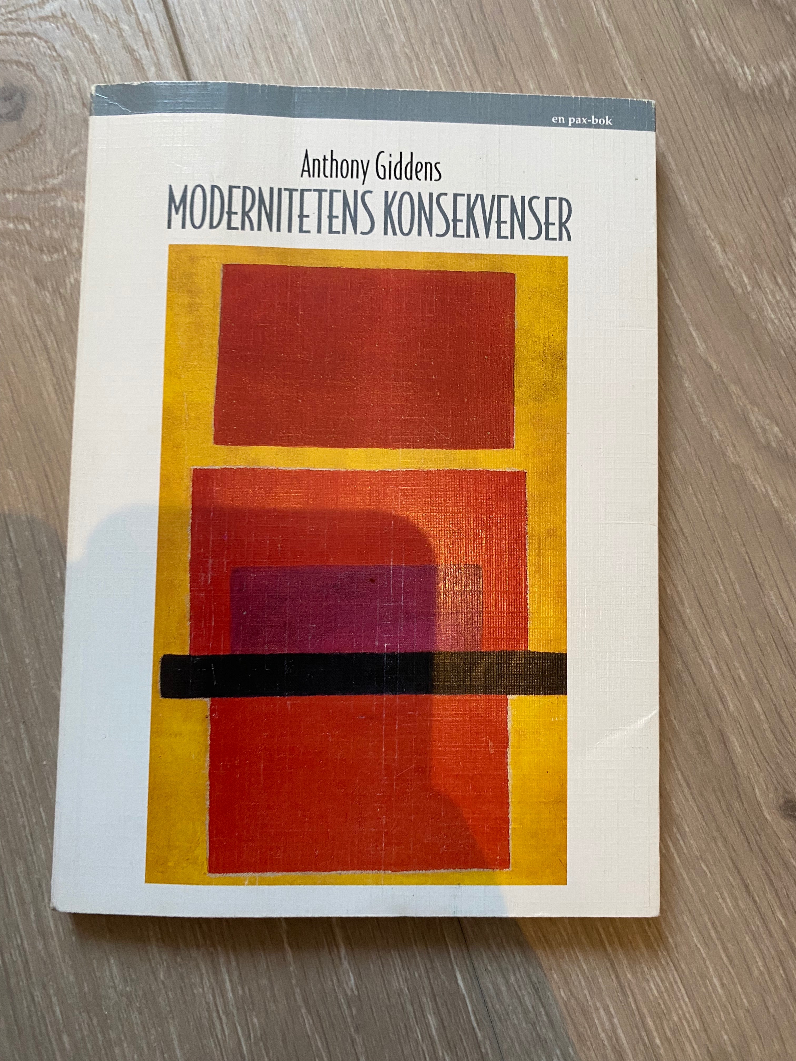 .Modernitetens konsekvenser
