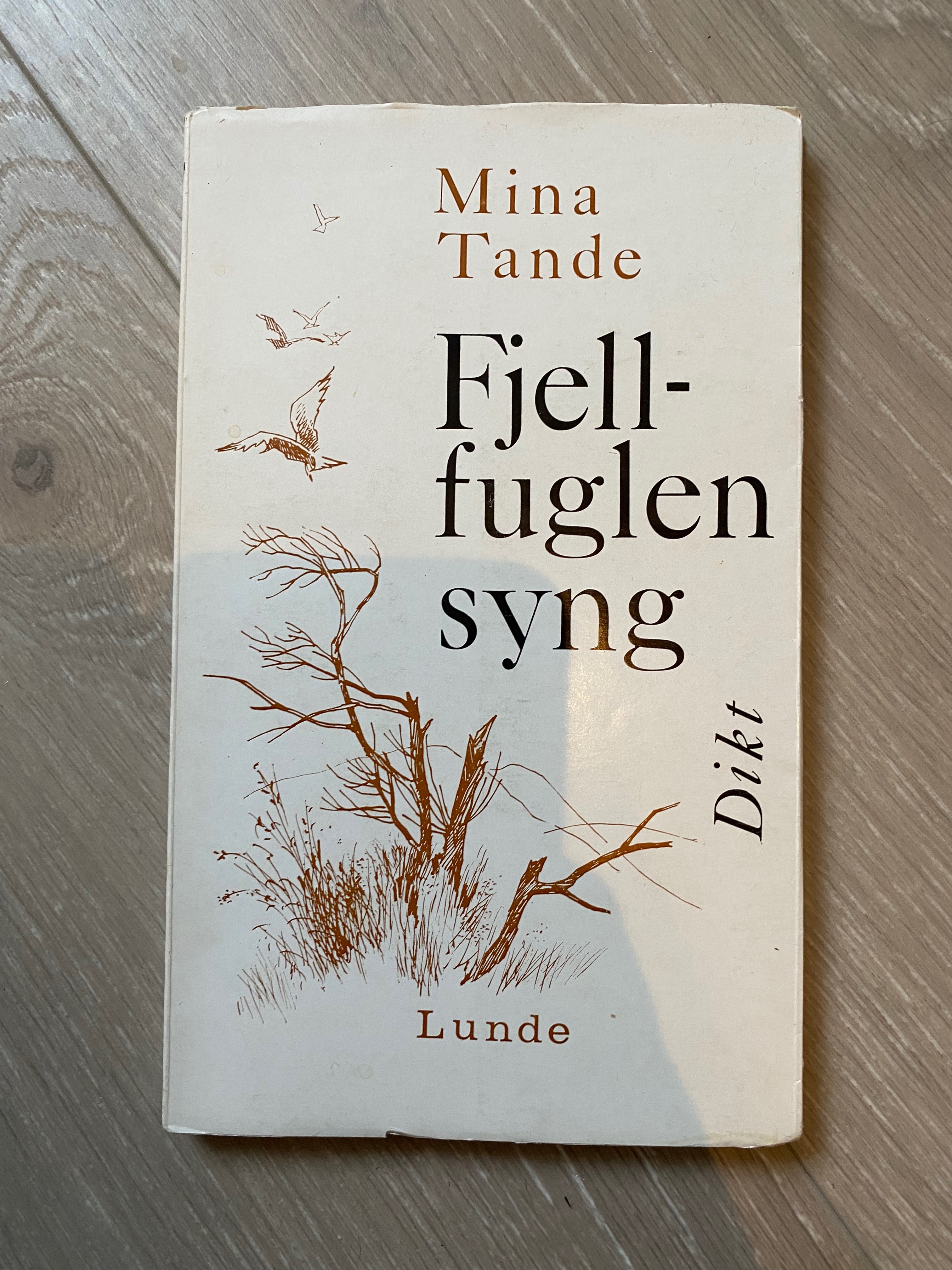 Fjellfuglen syng