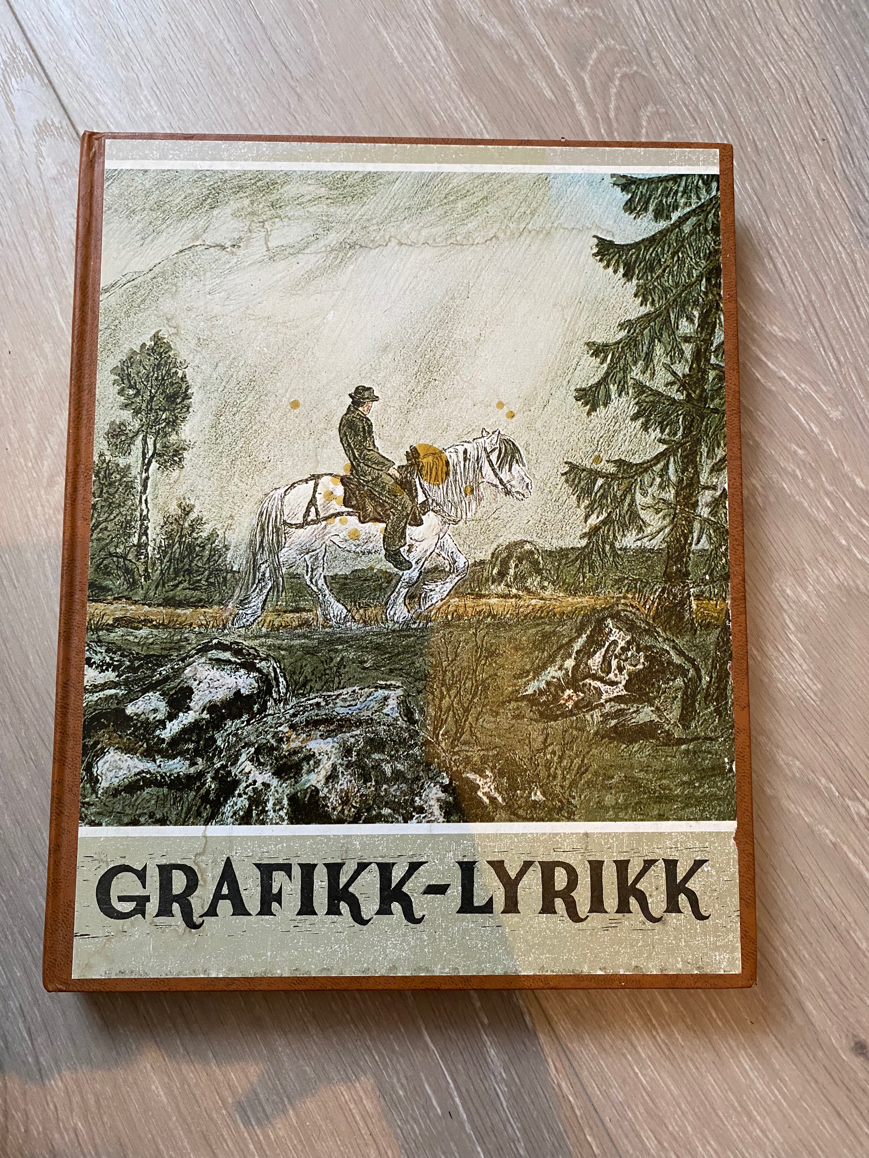 Grafikk- Lyrikk