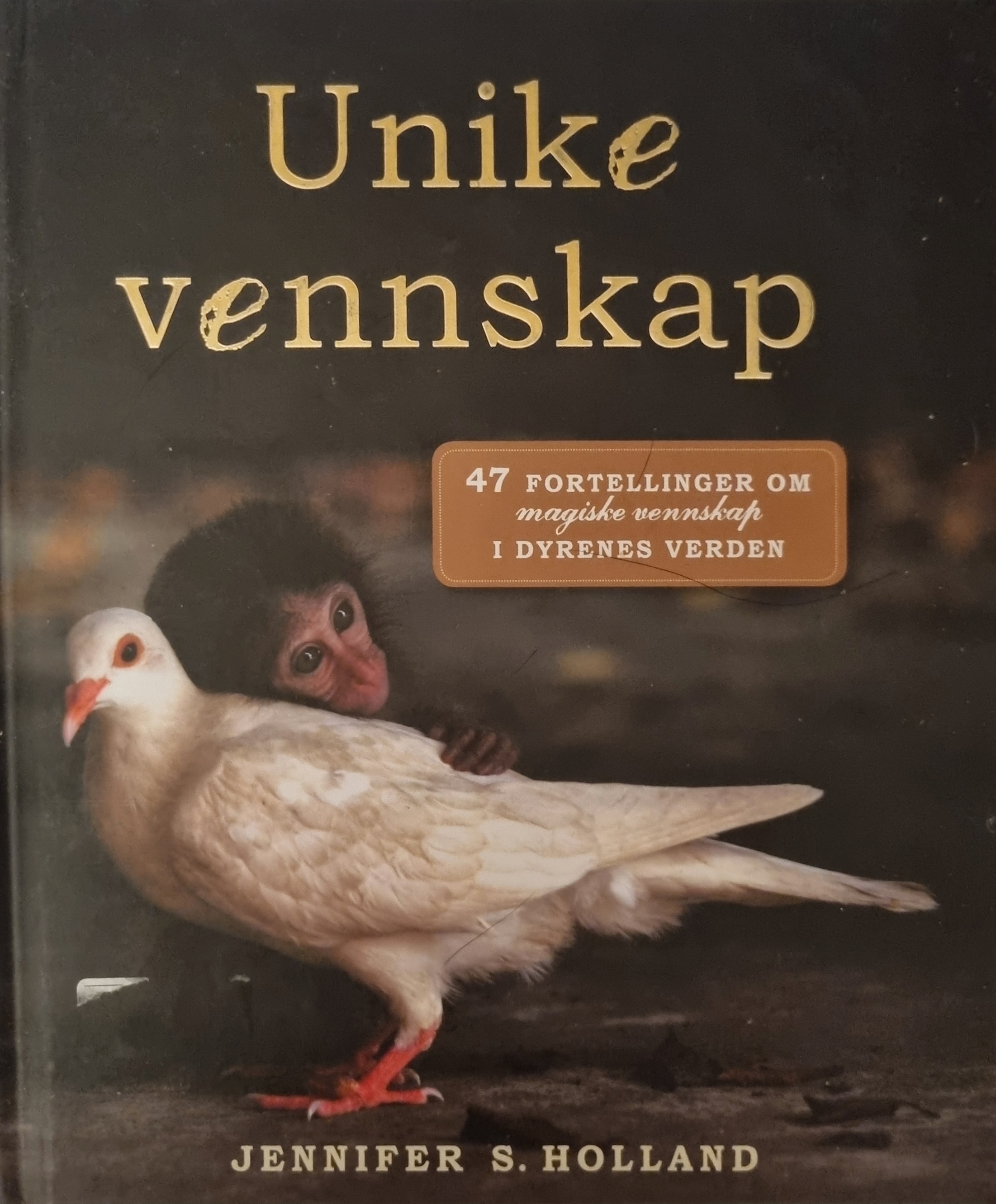 Unike vennskap: 47 fortellinger om magiske vennskap i dyrenes verden