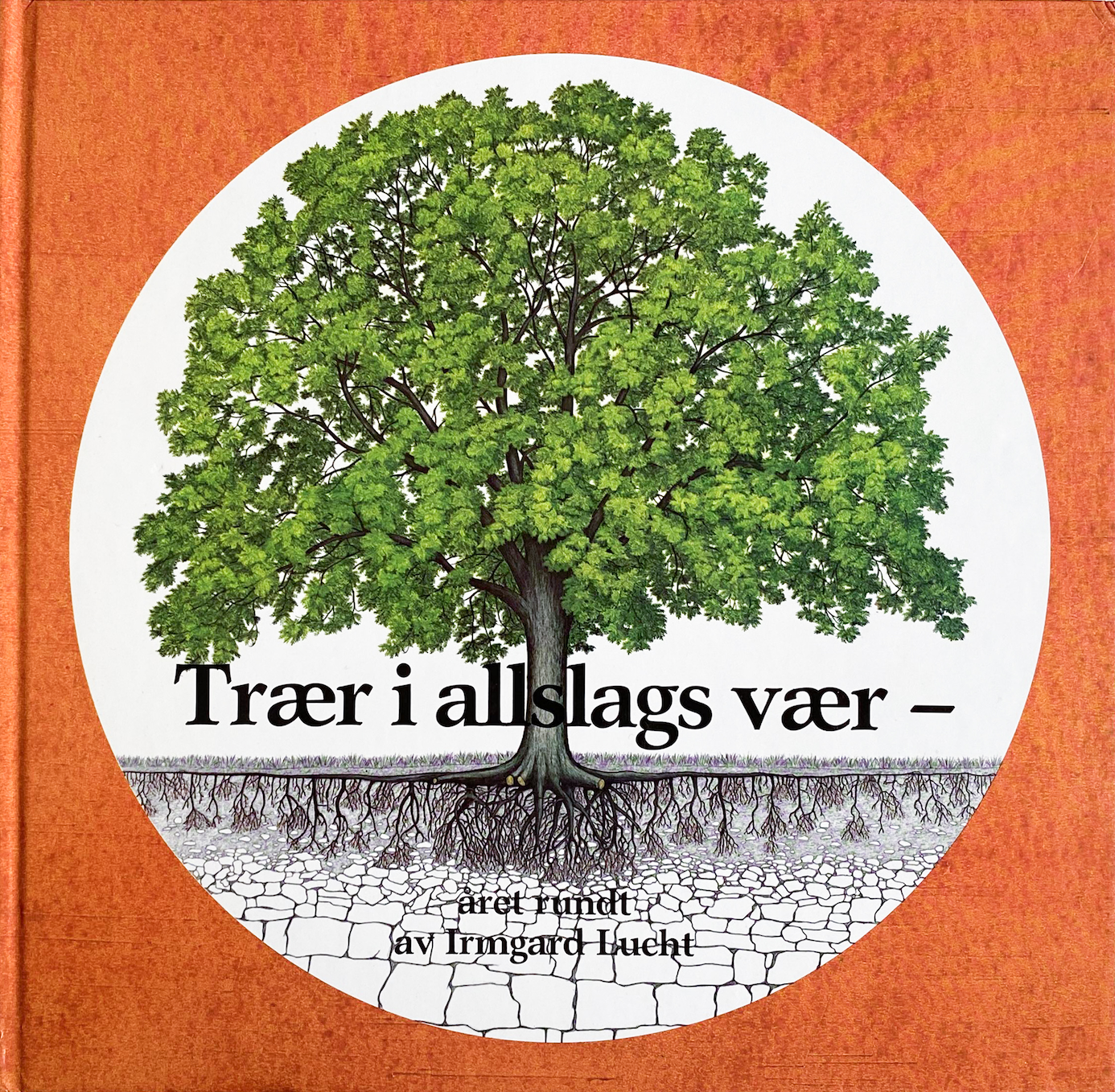 Trær i allslags vær