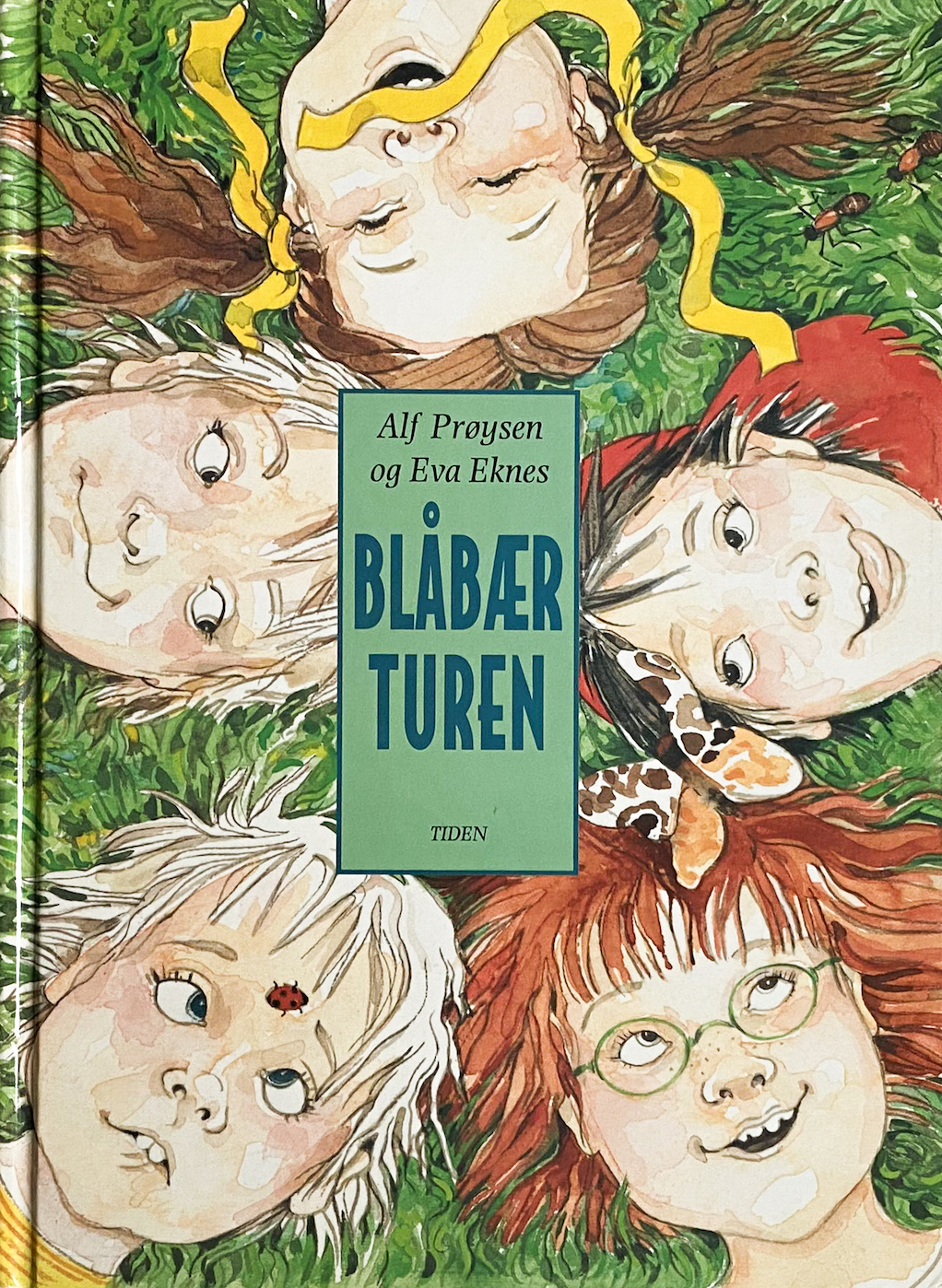 Blåbærturen