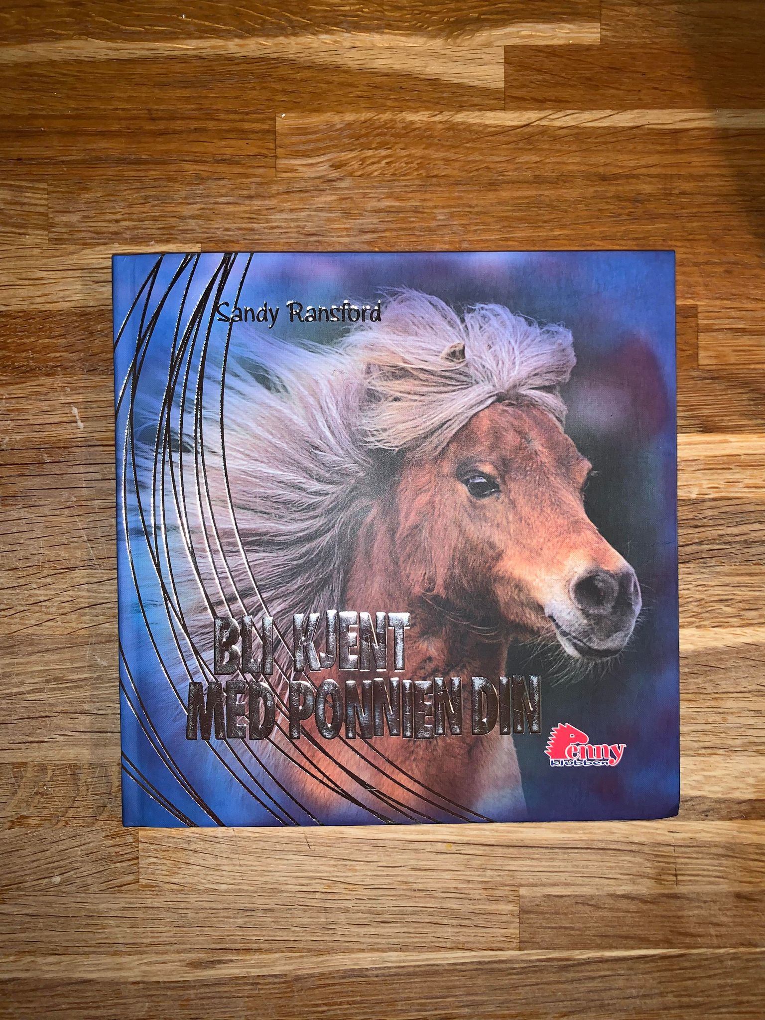 Bli kjent med ponnien din