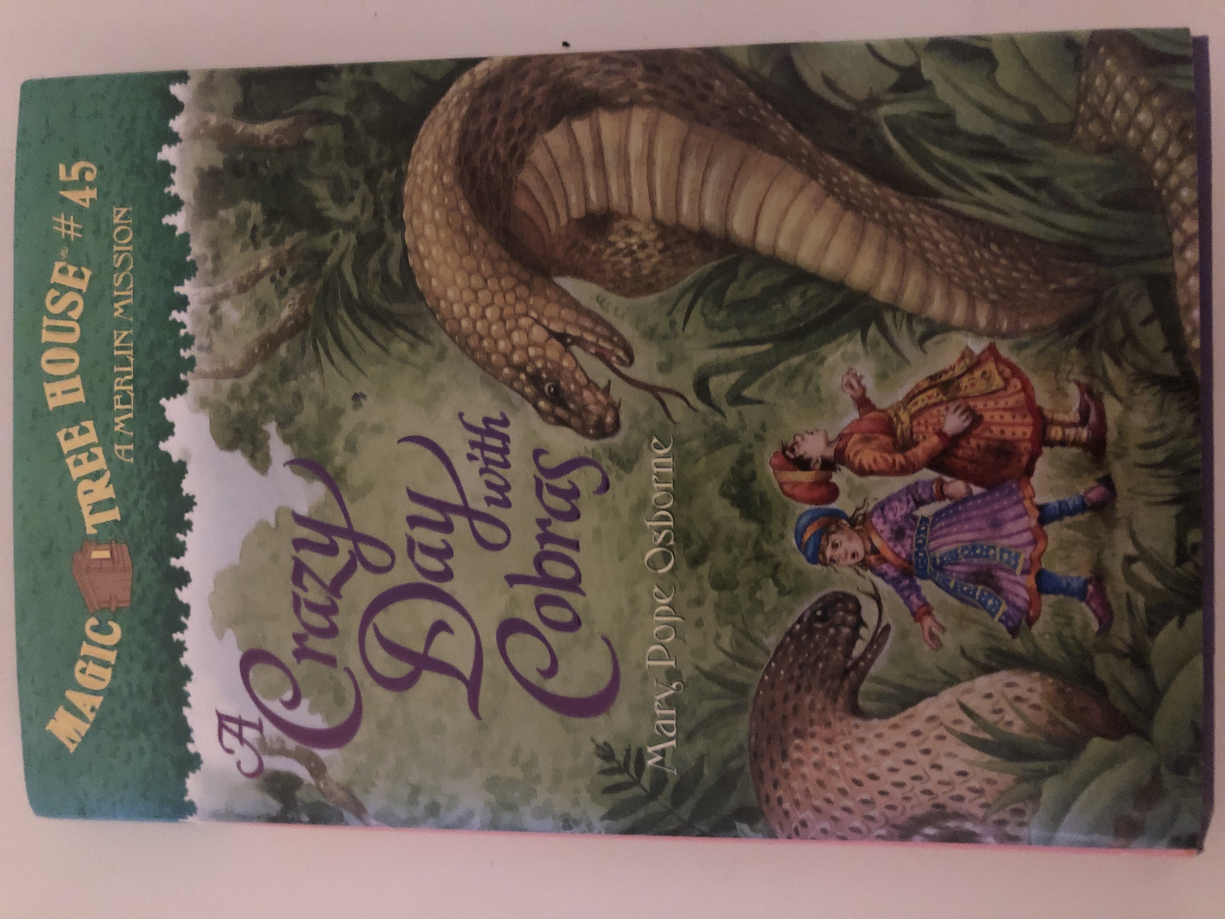 Magic tree house #45 A crazy day with cobras