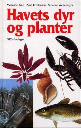 Havets dyr og planter.