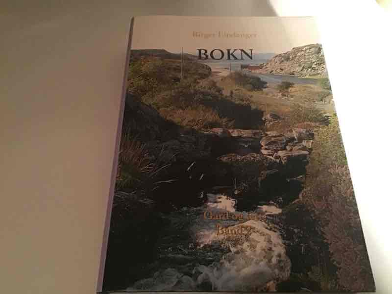 Bokn Gard og ætt