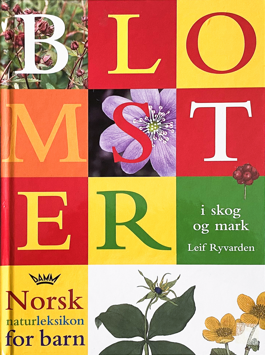 Norsk naturleksikon for barn: Blomster i skog og utmark