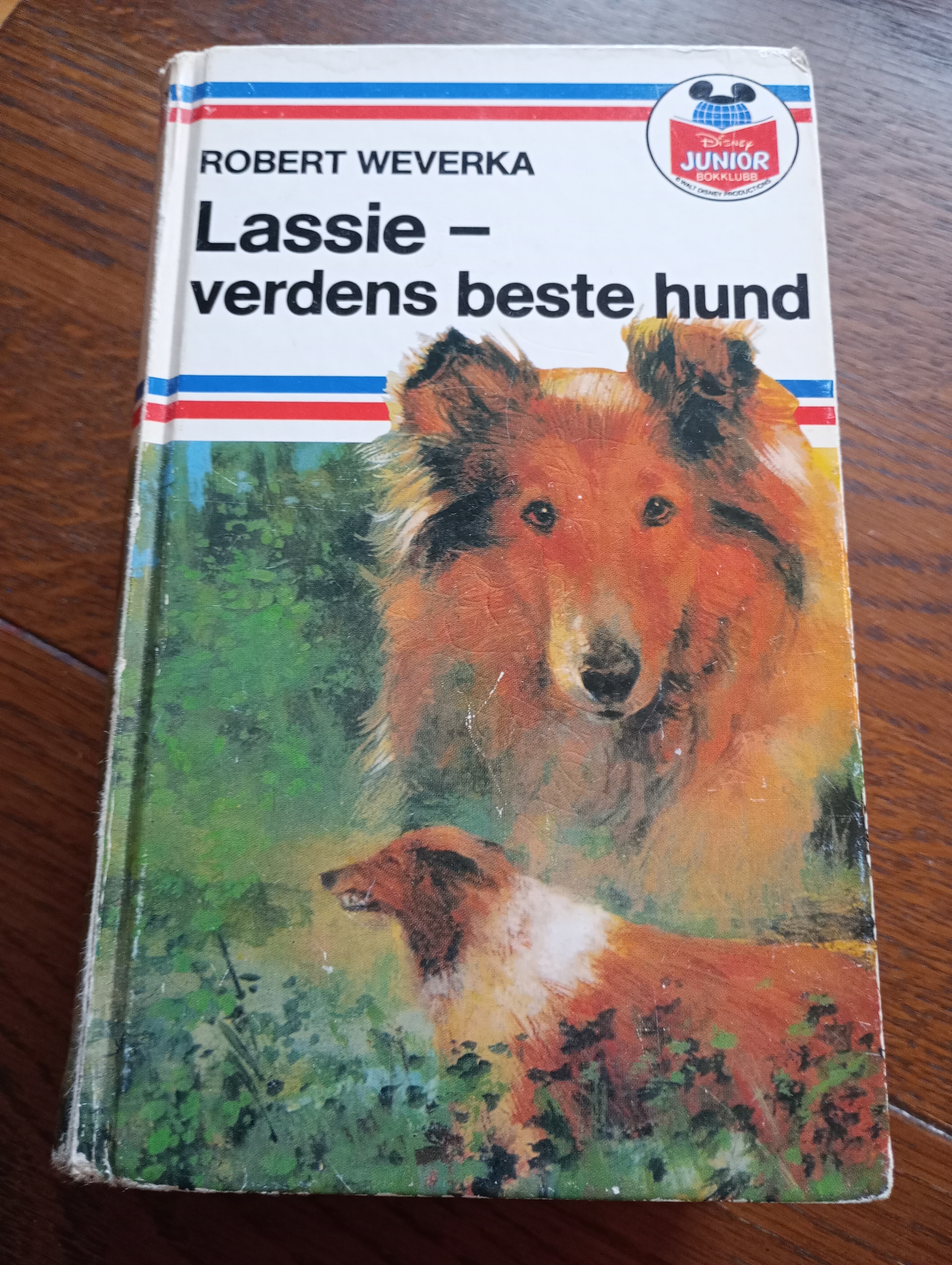 Lassie - verdens beste hund