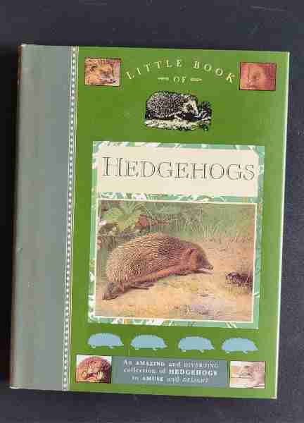 Little Book of Hedgehogs