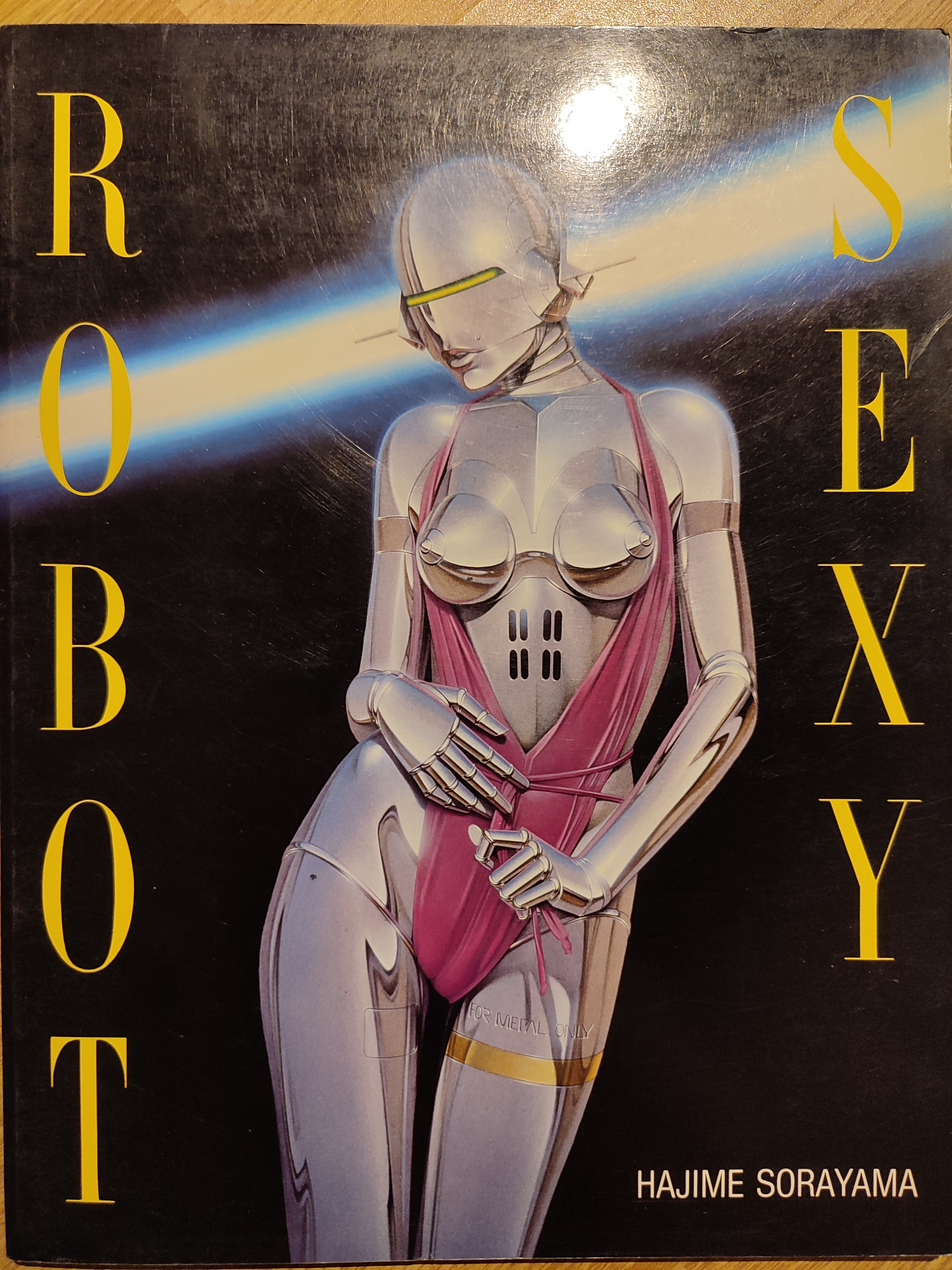 Sexy Robot