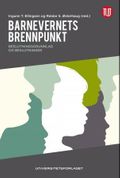 Barnevernets brennpunkt