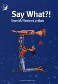 Say what ?!: engelsk illustrert ordbok