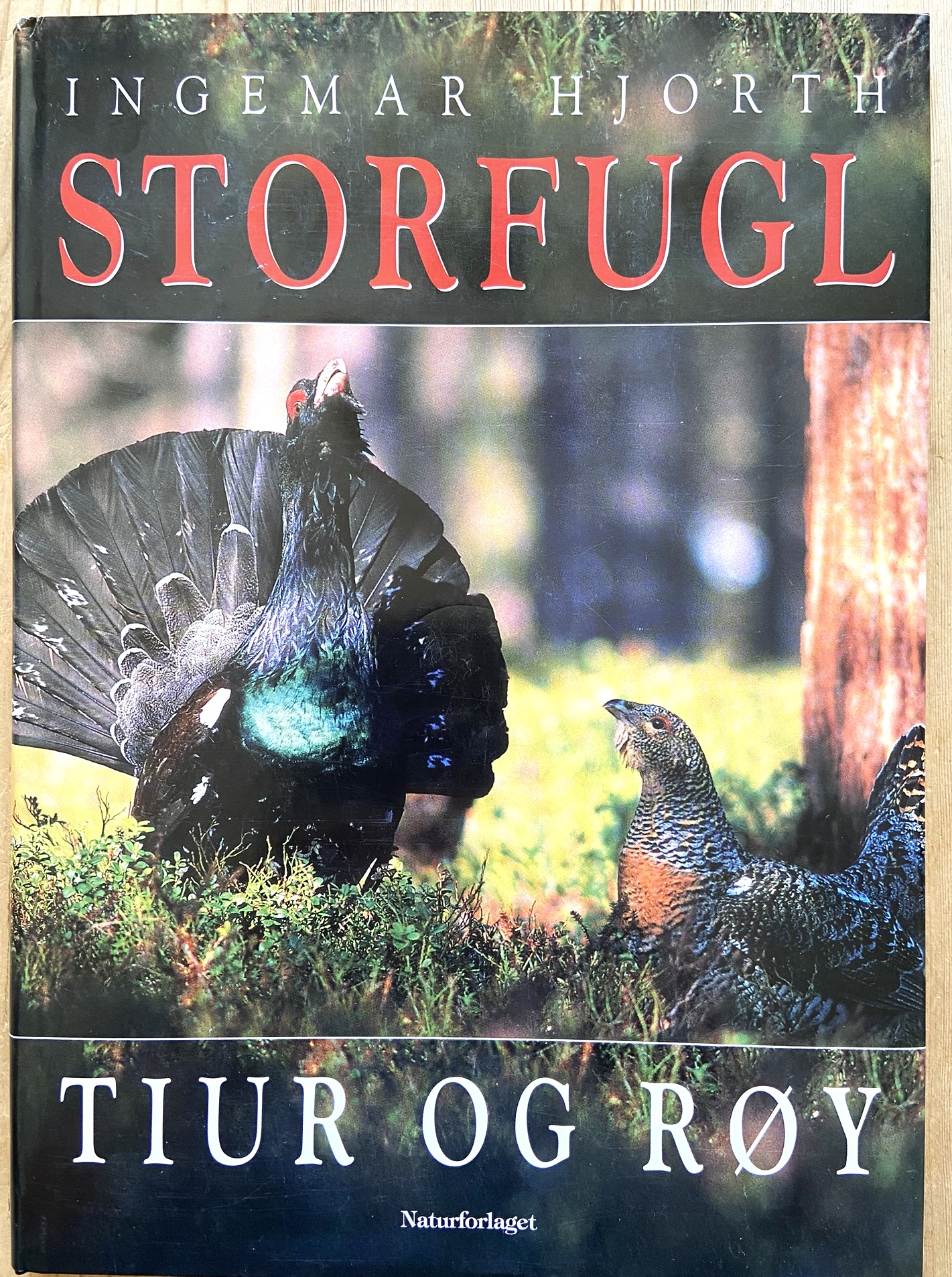 Storfugl - tiur og røy