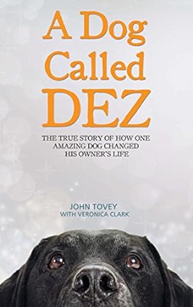 A Dog Called Dez - The Story of how one Amazing Dog Changed his Owner's Life
