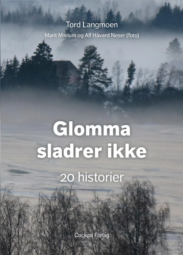 Glomma sladrer ikke : 20 historier