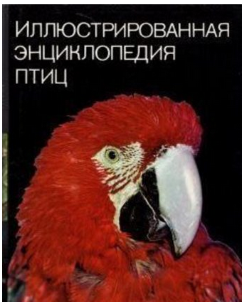 Illustrated Encyclopedia of Birds / Иллюстрированная энциклопедия птиц