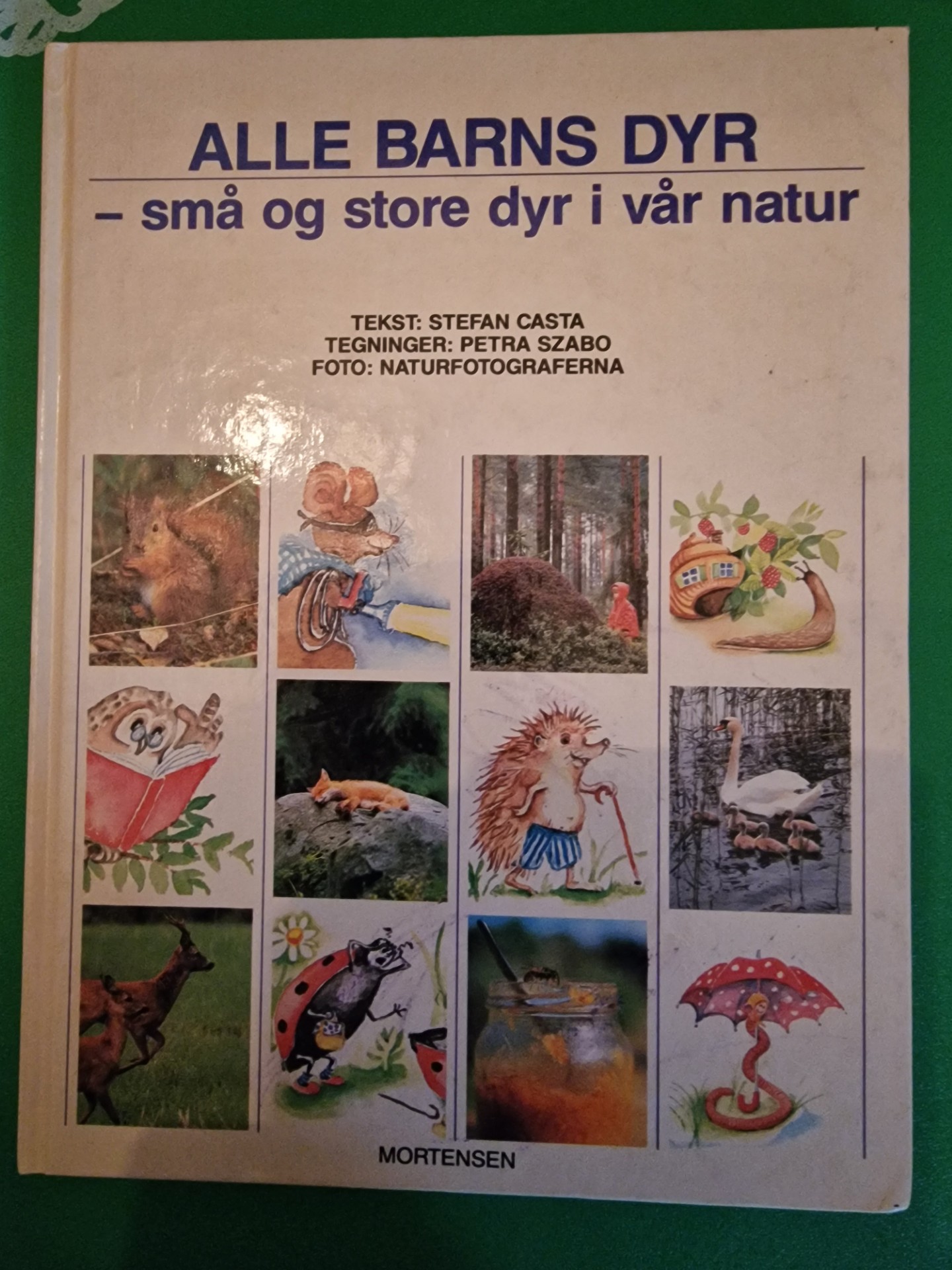 Alle barns dyr: små og store dyr i vår natur.