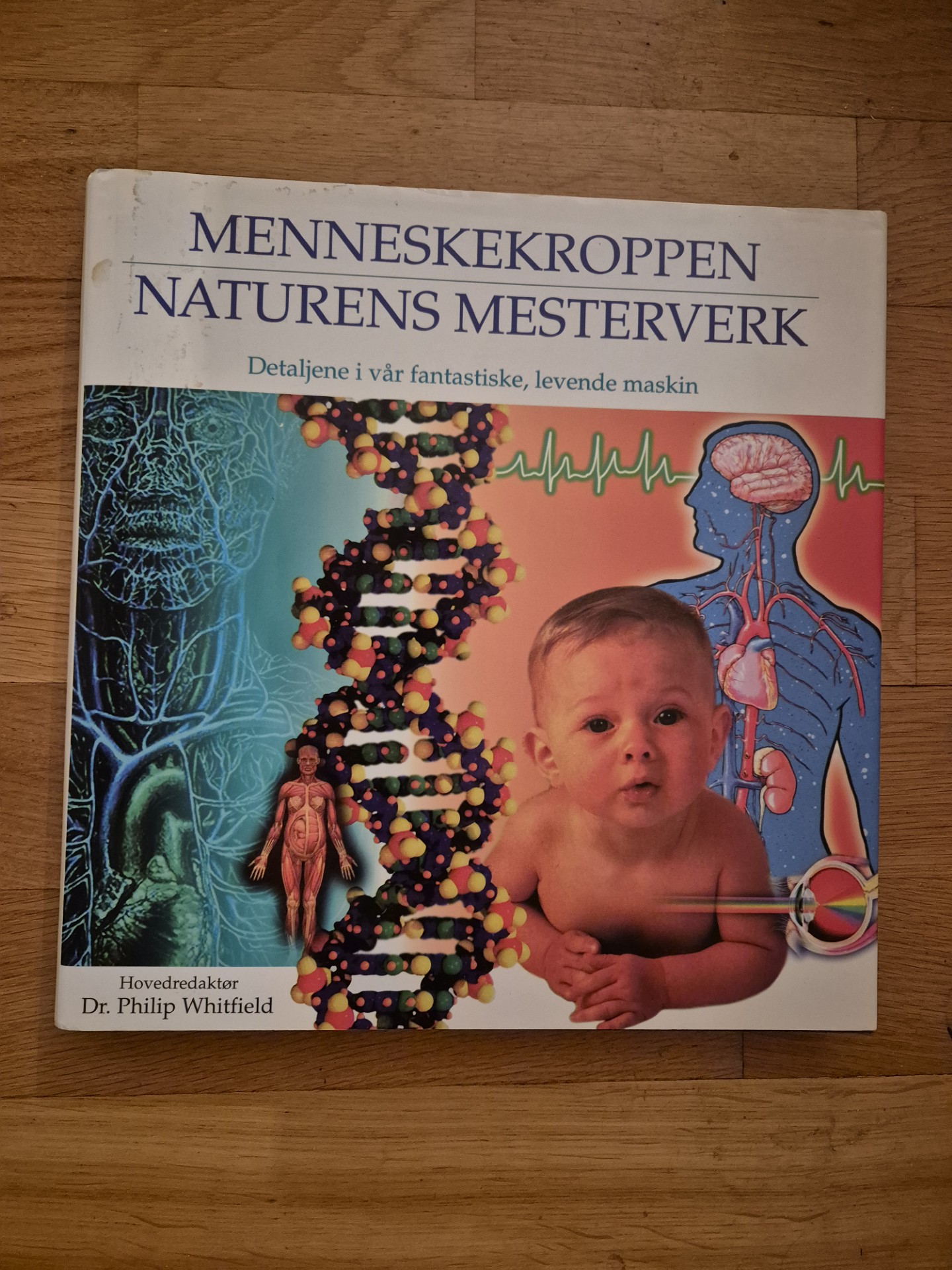 Menneskekroppen - naturens mesterverk