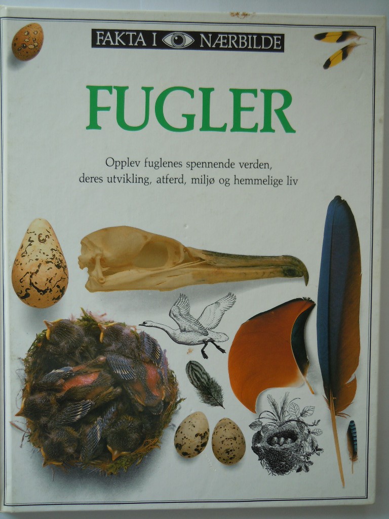 Fakta i nærbilde: Fugler
