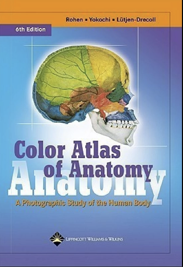 Color atlas of anatomy