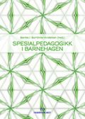 Spesialpedagogikk i barnehagen